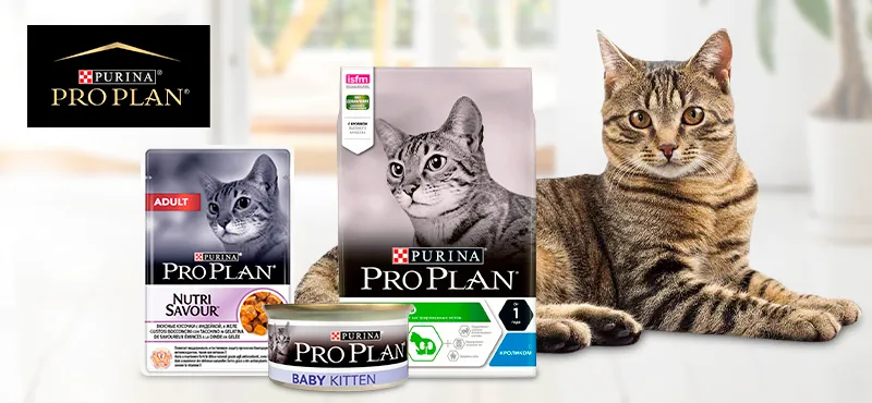 Сухой корм для кошек и котят Purina Pro Plan